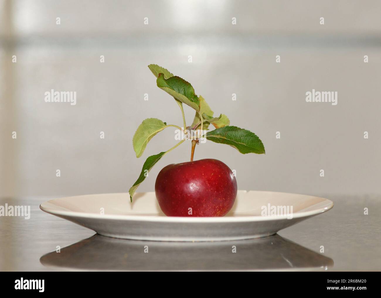 Ein einzelner Apfel auf einem weißen Teller. Stockfoto