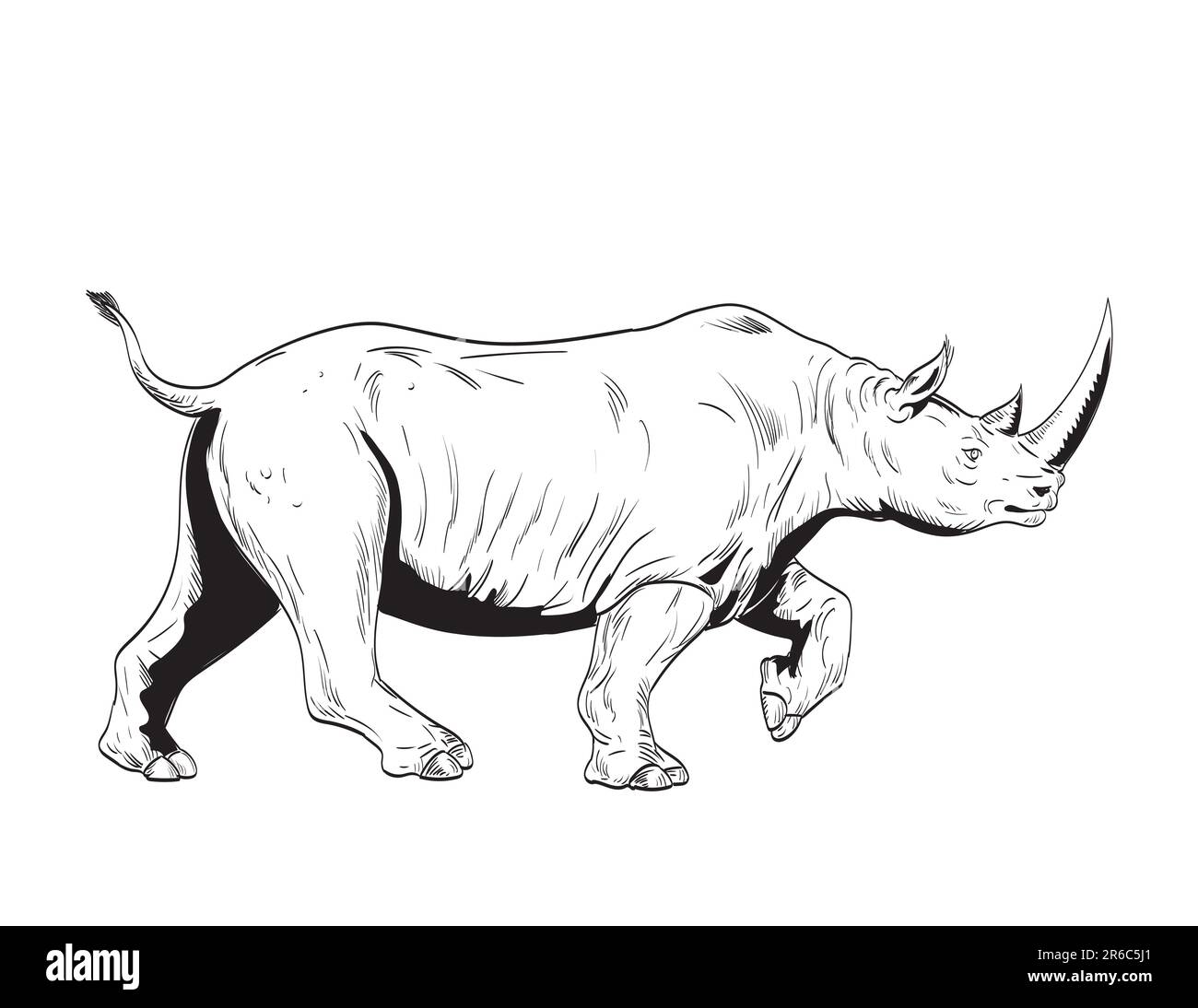 Comics-Zeichnung oder Illustration eines Nashorns oder Nashorns, eines seltsamen Huftieres in der Familie der Rhinocerotidae, die von der isolierten Seite betrachtet werden Stockfoto