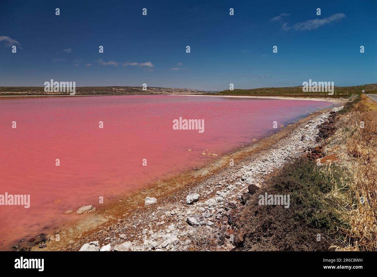 Pink Lake in Port Gregory in Westaustralien, farbenfrohes Wasser mit Bakterien und Algen, wunderschöner Kontrast zwischen dem blauen Ozean und dem rosa Wasser, Wolken Stockfoto