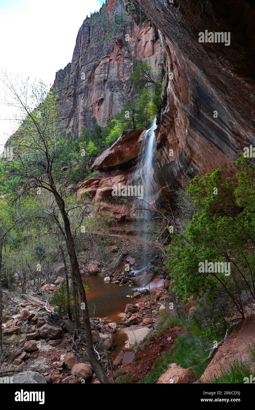 Wasserfall am Lower Emerald Pool im Zion-Nationalpark Stockfoto