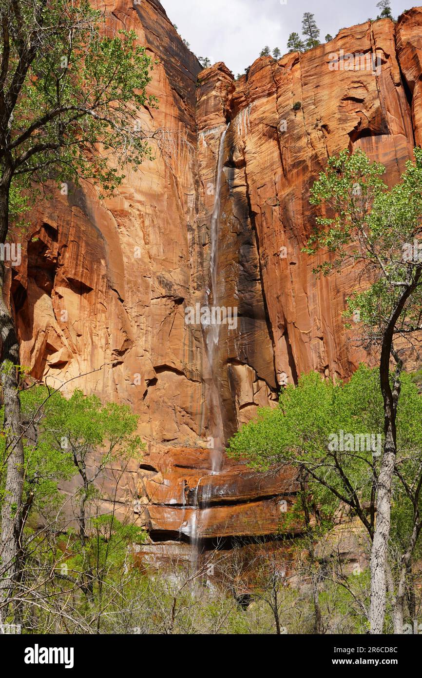 Wasserfall am Sinawava-Tempel im Zion-Nationalpark Stockfoto