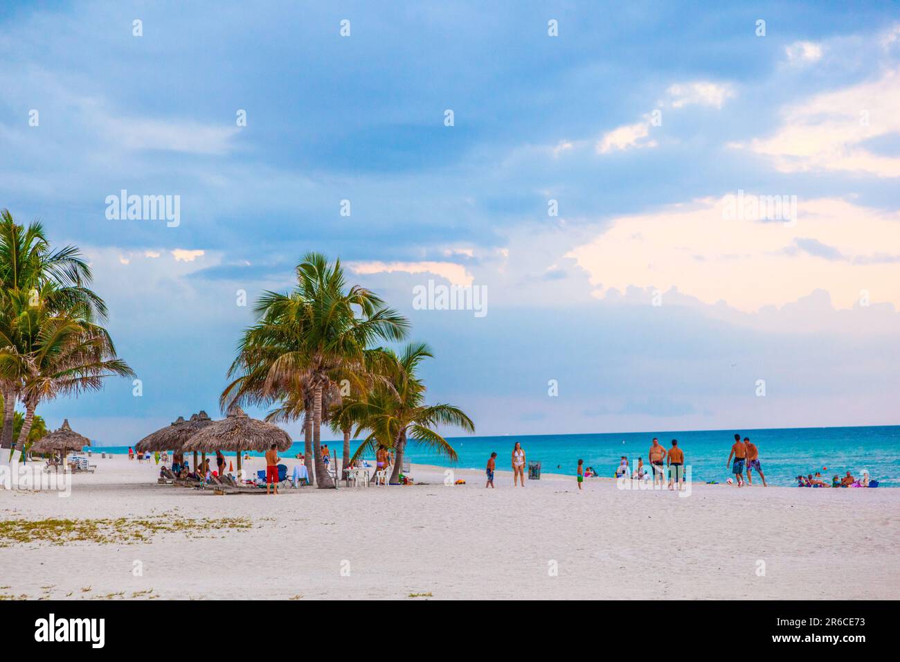 Miami, USA - 30. Juli 2010: Der malerische Strand mit Palmen in Miami, USA, ist ein Paradies für die Einheimischen Stockfoto