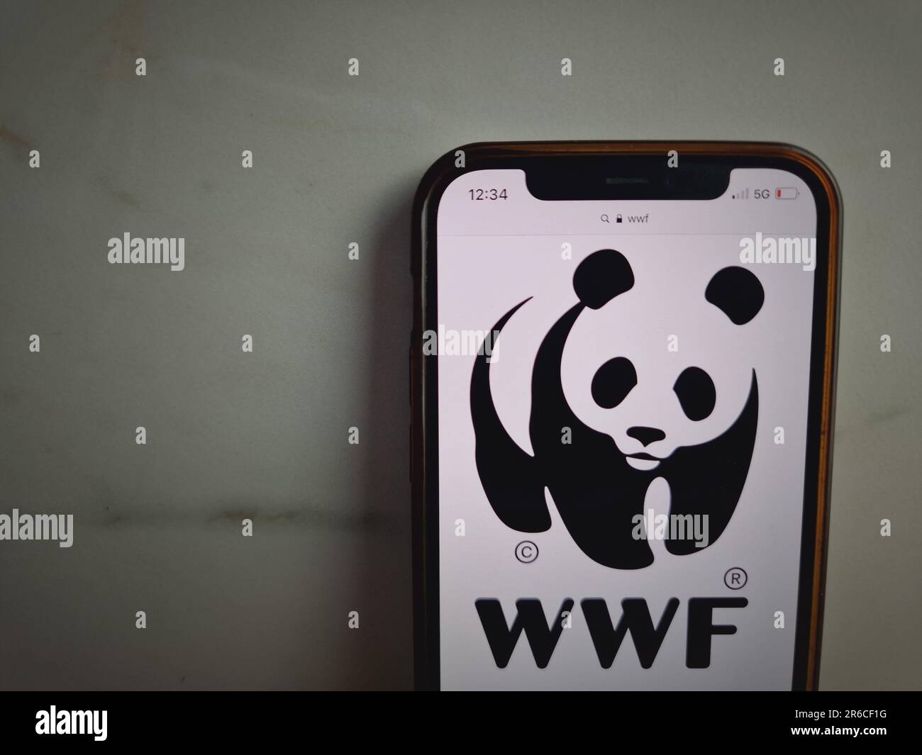 Konskie, Polen - 08. Juni 2023: WWF-Logo des World Wide Fund for Nature auf dem Bildschirm des Mobiltelefons Stockfoto