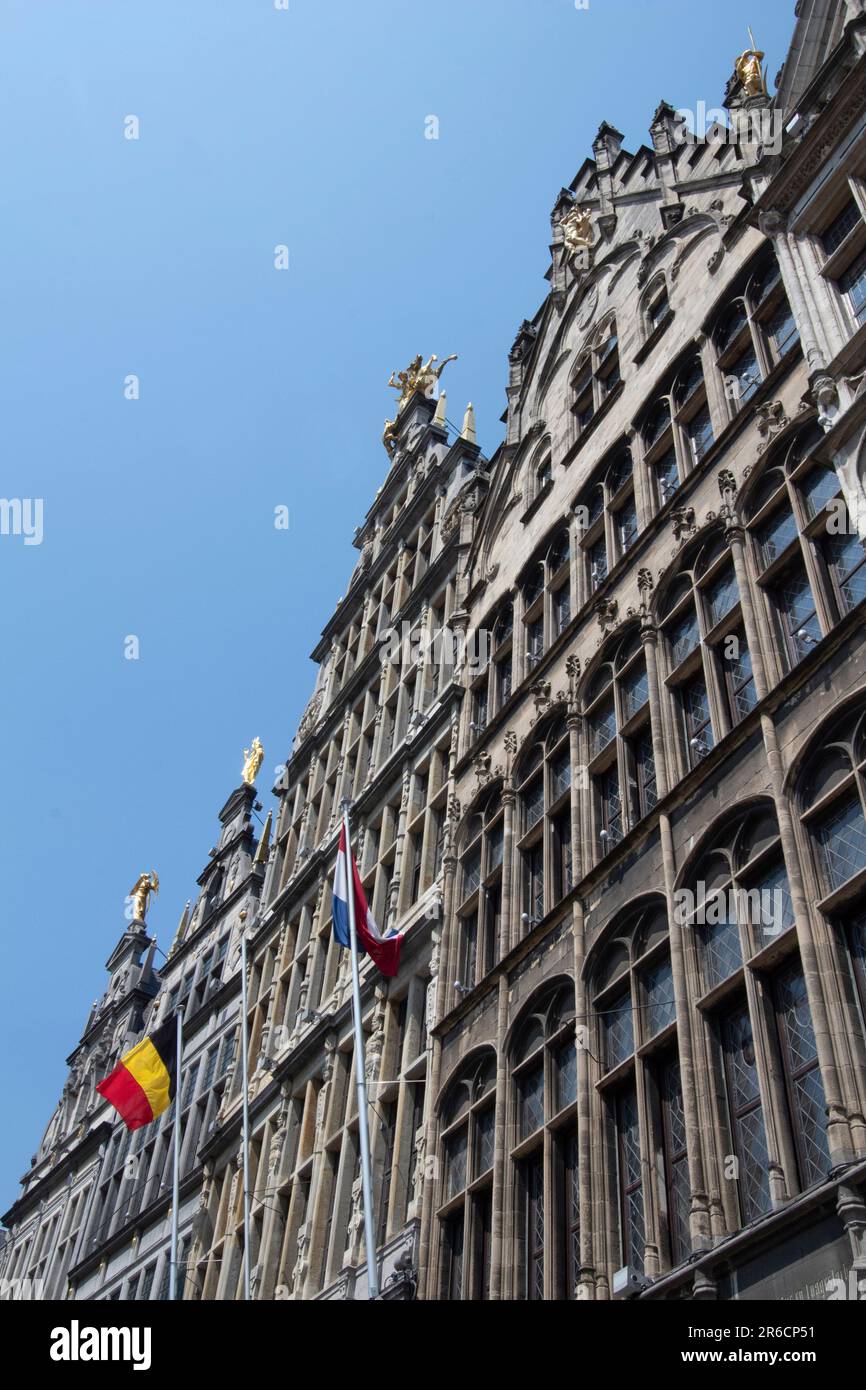 Guildhallen auf dem Grote Markt, dem zentralen Platz von Antwerpen, Belgien Stockfoto