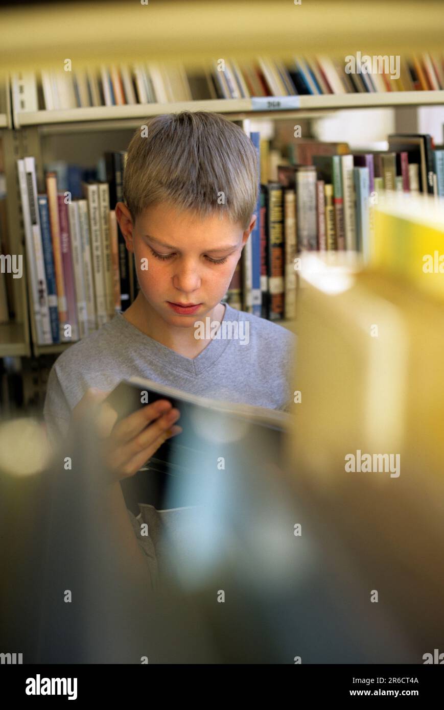 Schüler lesen ein Buch in der Bibliothek Stockfoto
