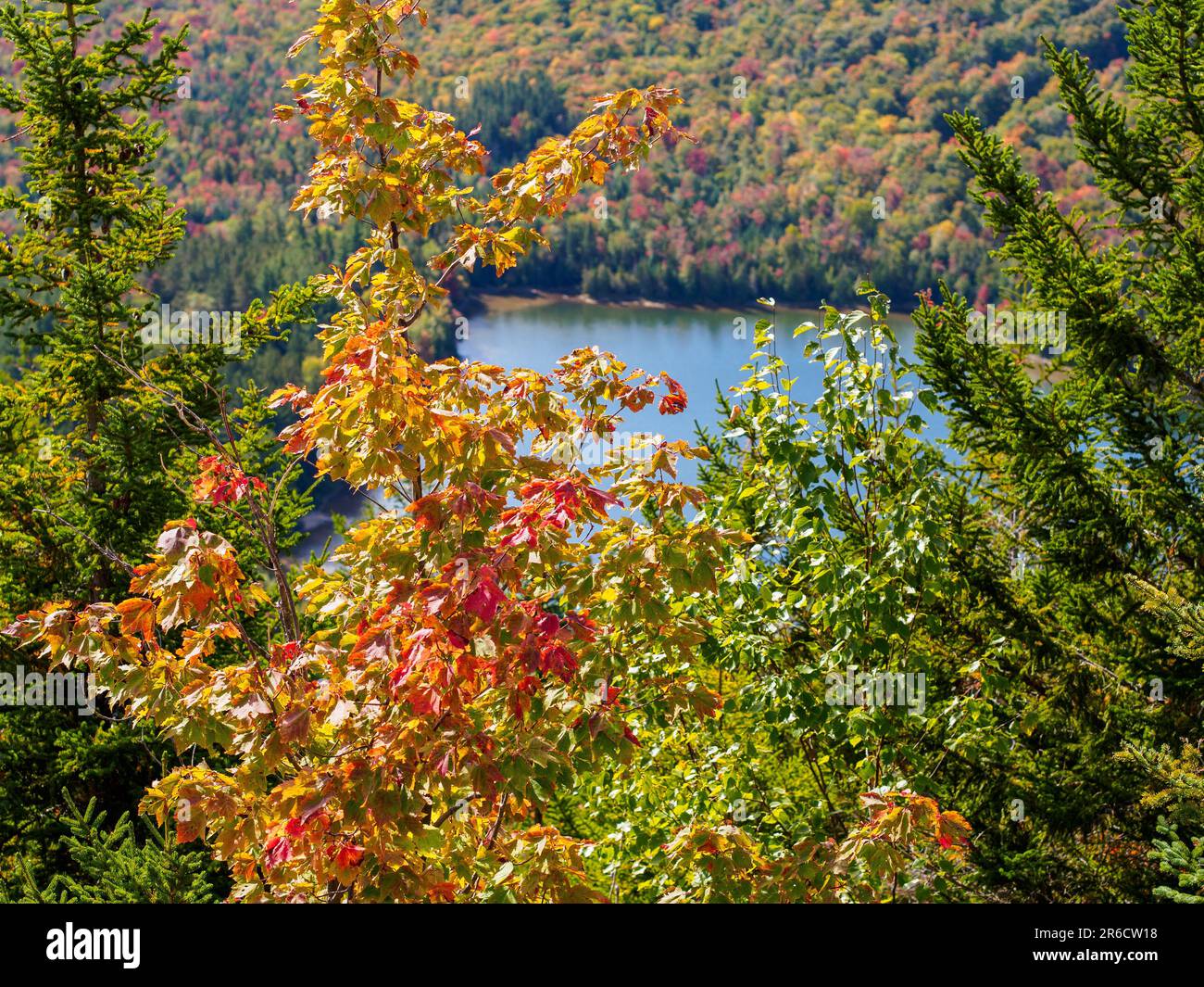 Die atemberaubende Schönheit des Adirondack Mountains Lake im Bundesstaat New York lässt die Landschaft mit den lebendigen Herbstfarben lebendig werden Stockfoto