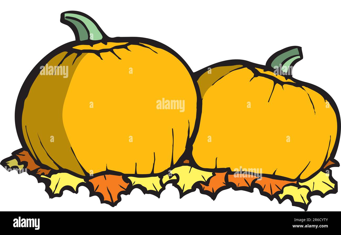 Zwei orangefarbene Kürbisse in einem Halloween-Kürbis-Patch Stock Vektor