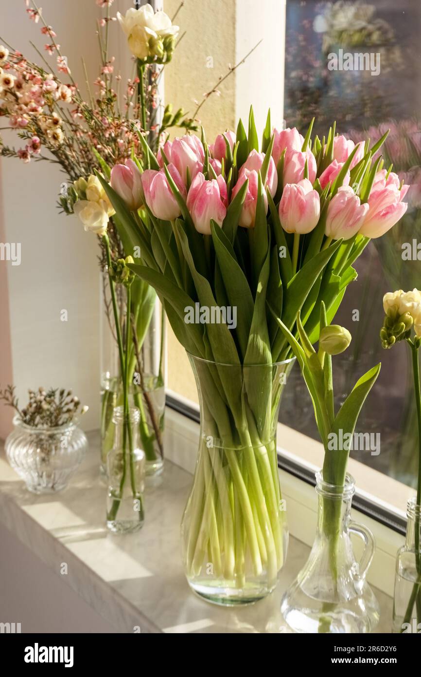 Viele verschiedene Frühlingsblumen und Äste mit Blättern auf Fensterbank im Innenbereich Stockfoto