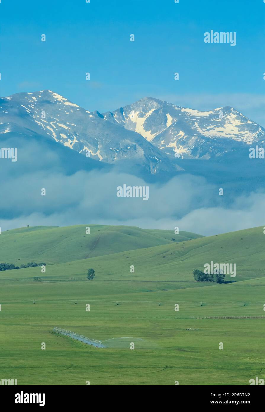 Sprinklerbewässerung im clark Fork-Tal unter den Gipfeln des Feuersteinbachs nahe Garnison, montana Stockfoto