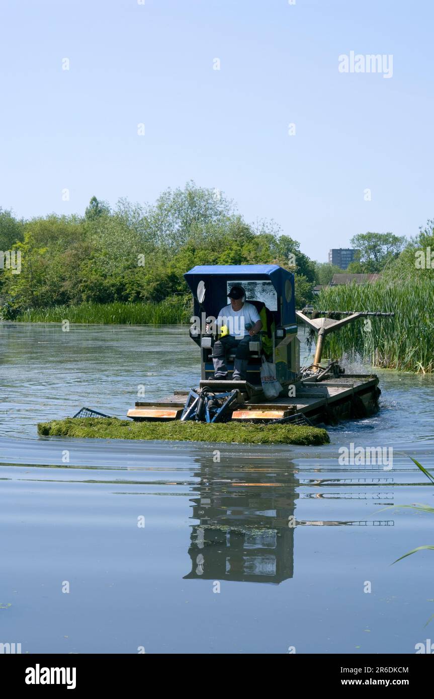 Kontrolle Von Aquatischem Unkraut Stockfoto