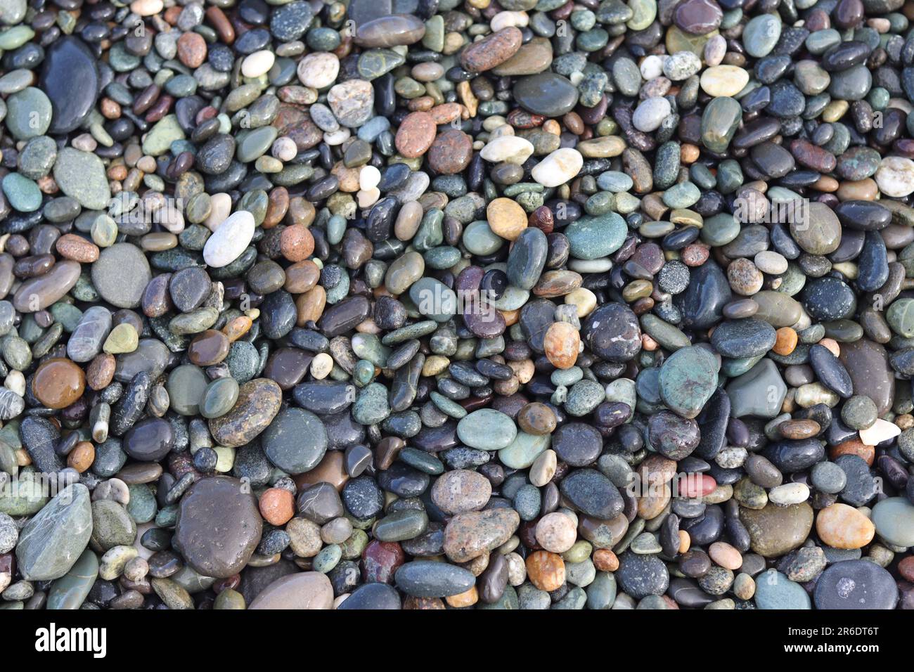 Eine lebendige und vielfältige Mischung aus Kieselsteinen in verschiedenen Formen, Größen und Farben, die über einen Sandstrand verstreut sind Stockfoto