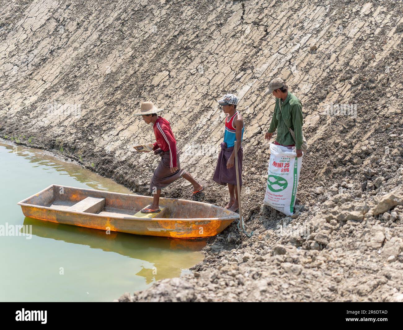 Fütterung von Fischen in einer Fischfarm im Irrawaddy-Delta in Myanmar. Stockfoto