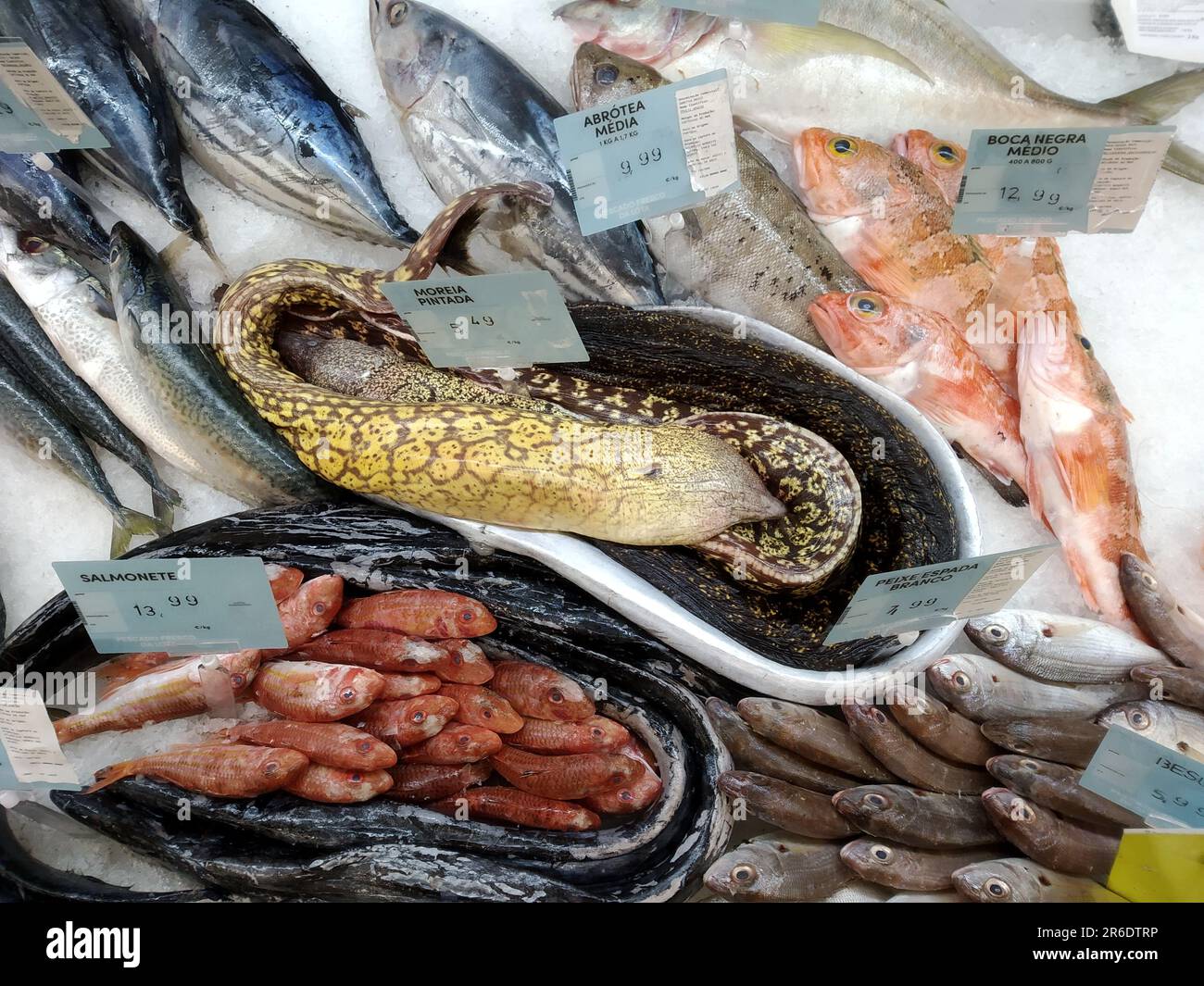 Fisch an der Fischtheke und Preisschilder Stockfoto