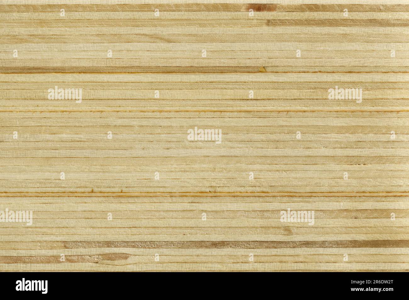 Makro-Nahaufnahme des Querschnitts von Sperrholz Stockfoto