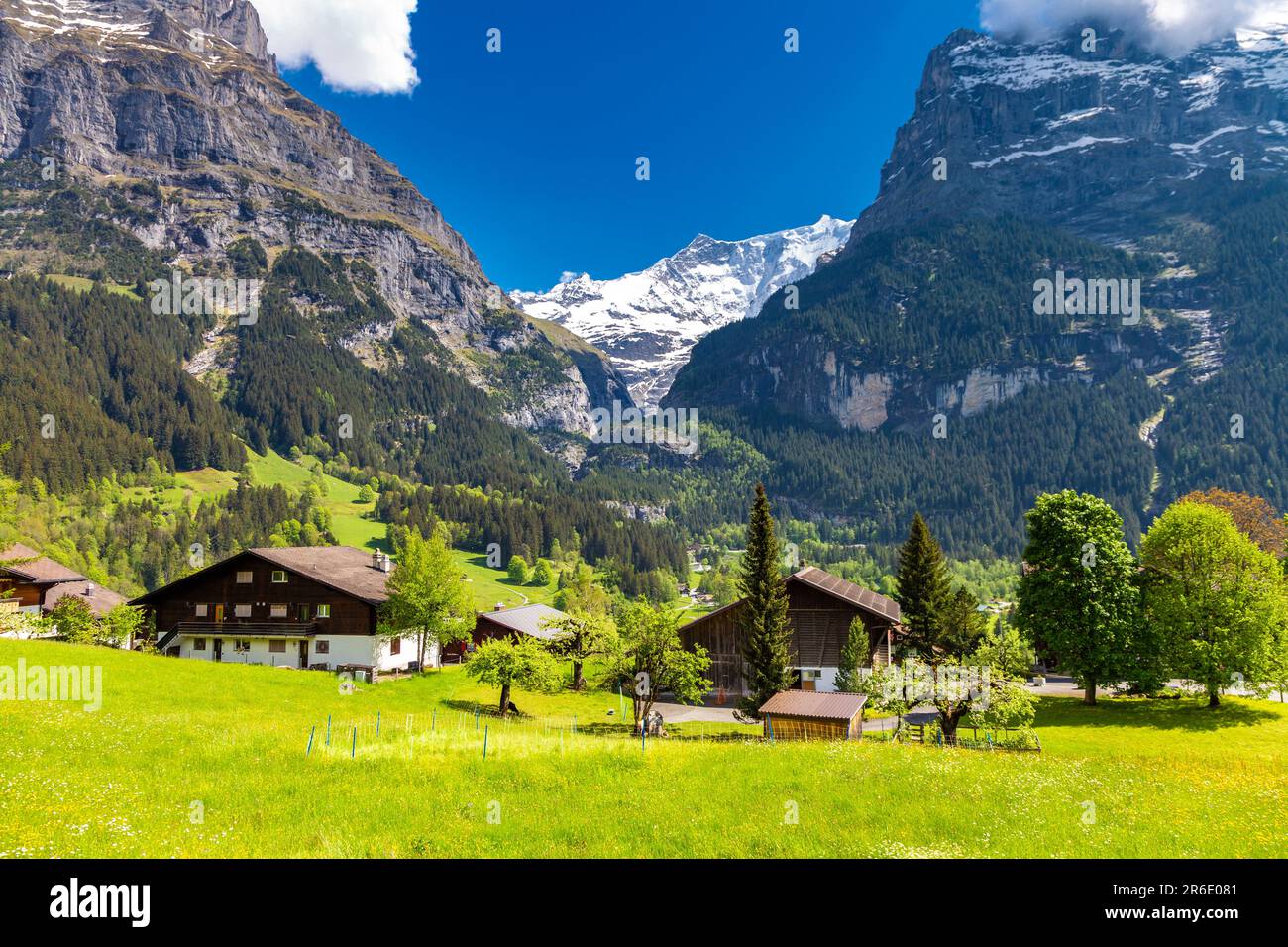 Blick auf Schweizer Chalets und die Alpen, Grindelwald, Schweiz Stockfoto