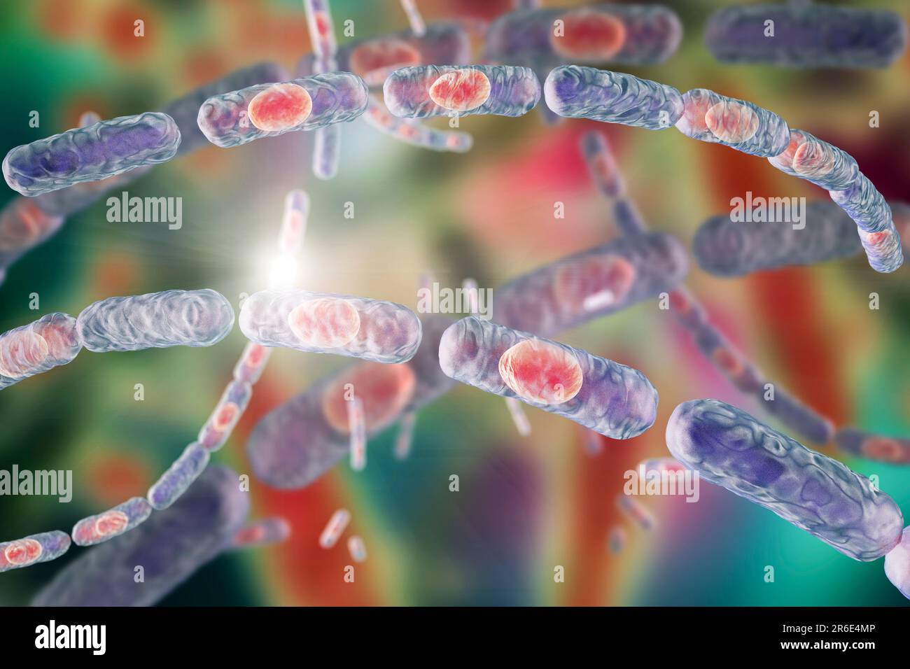 Milzbrandbakterien, Computerabbildung. Milzbrandbakterien (Bacillus anthracis) sind die Ursache für die Krankheit Milzbrand bei Menschen und Tieren. Das sind sie Stockfoto