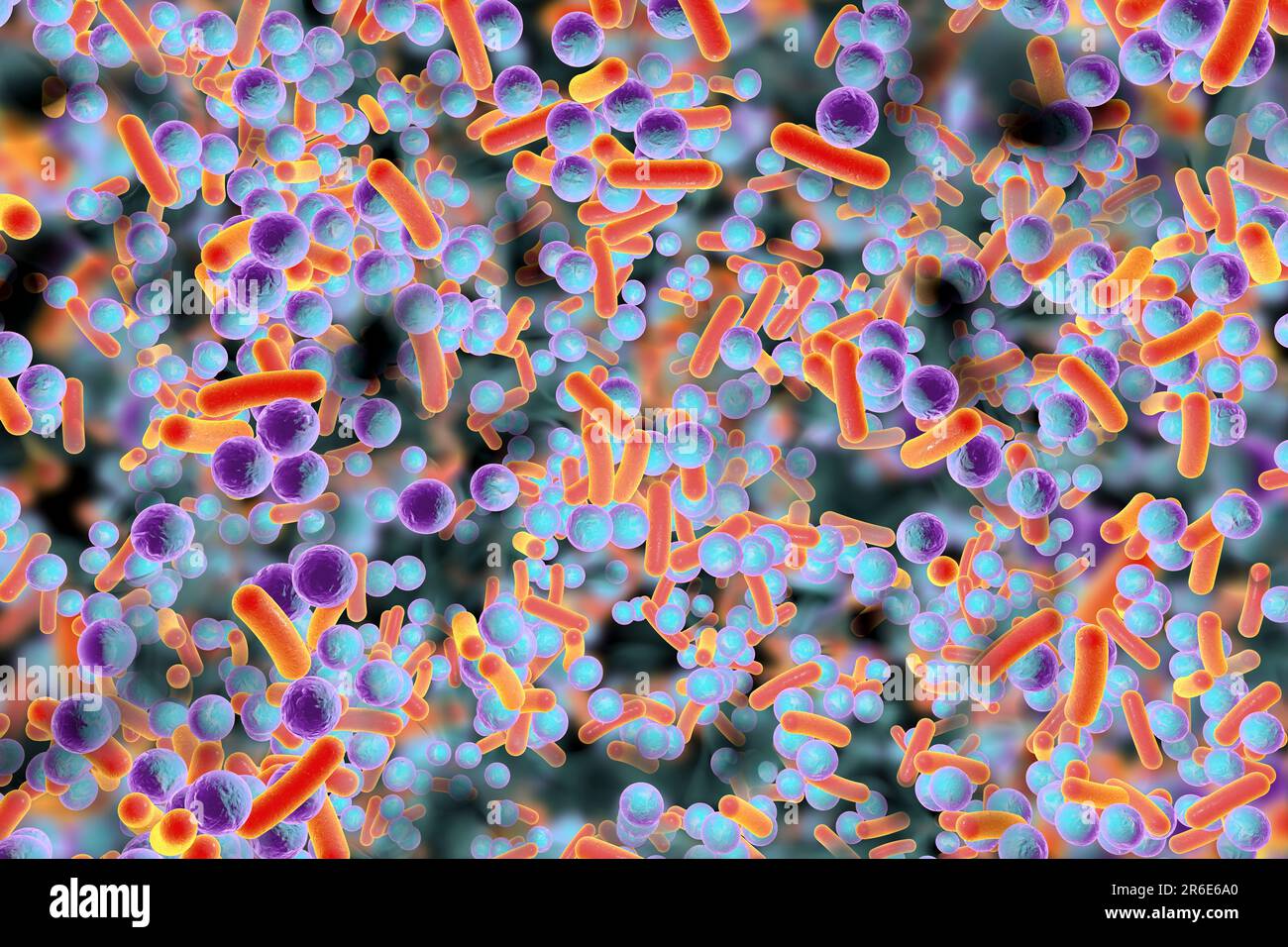 Sphärische Bakterien und stabförmige Bakterien im Biofilm, Abbildung. Ein Biofilm ist eine Bakterienkolonie, die eine Beschichtung auf einer Oberfläche bildet. Gemeinsame p Stockfoto