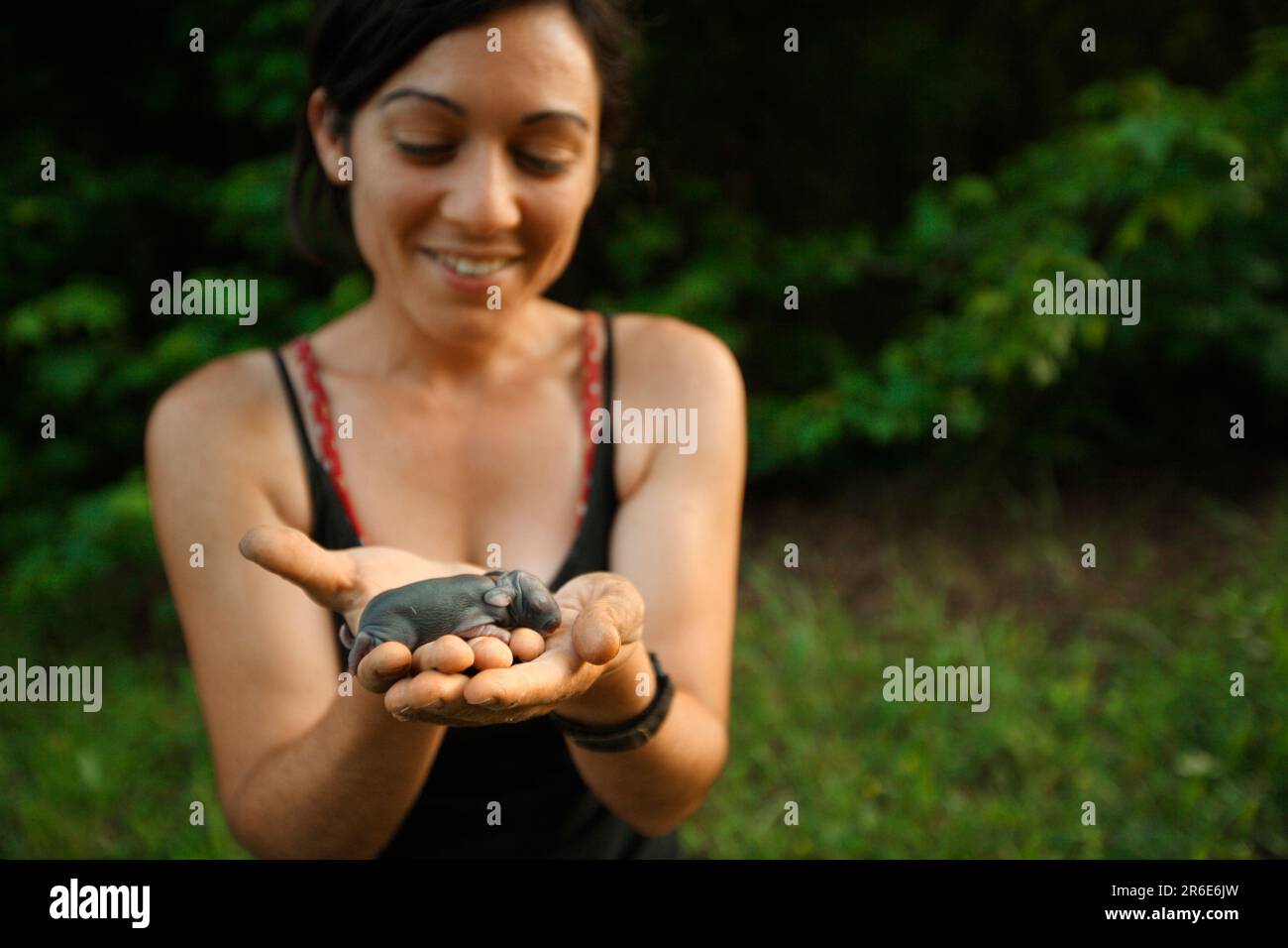 Danielle untersucht Babytiere, die auf der Farm bei Circle Acres gefunden wurden Stockfoto