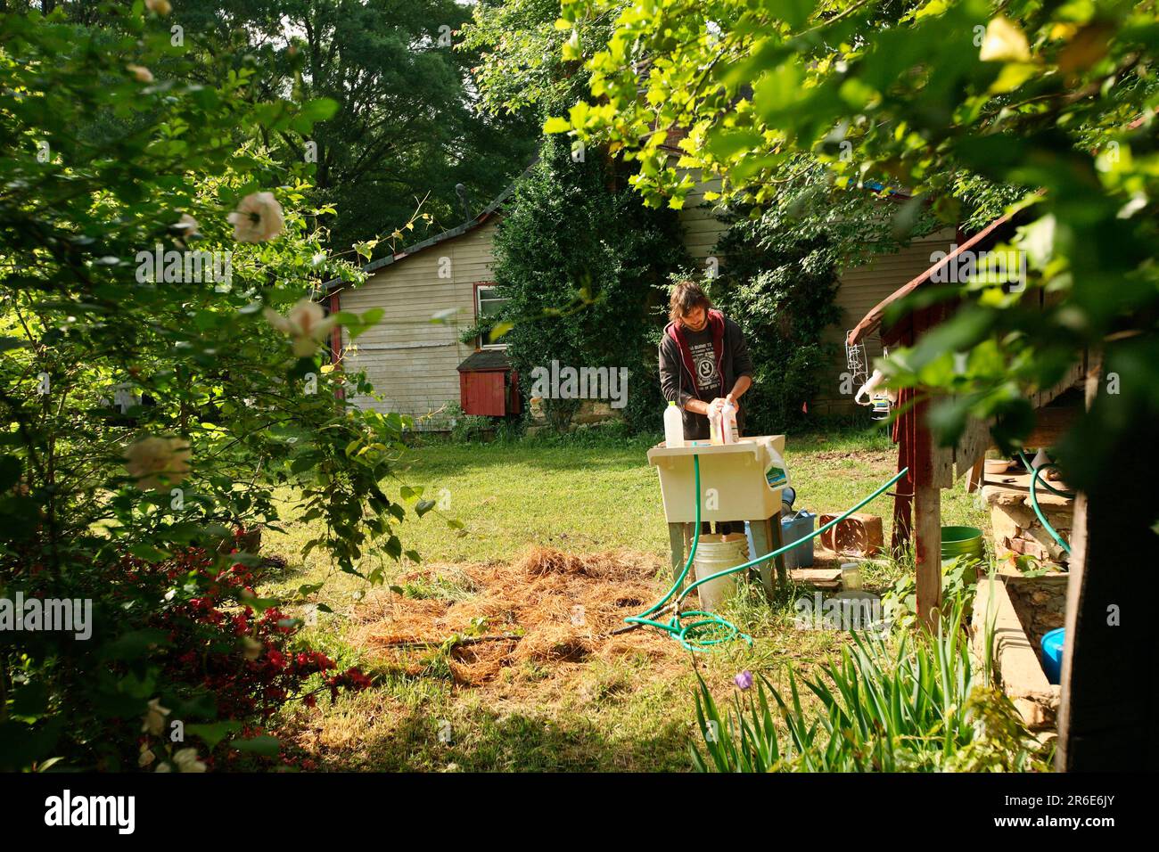 Ein Mann wäscht Geschirr auf der Farm von Circle Acres. Stockfoto