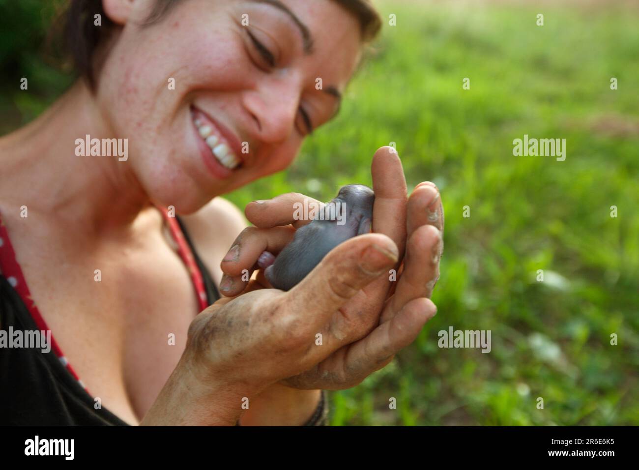 Danielle untersucht ein Tierbaby, das auf der Farm bei Circle Acres gefunden wurde Stockfoto