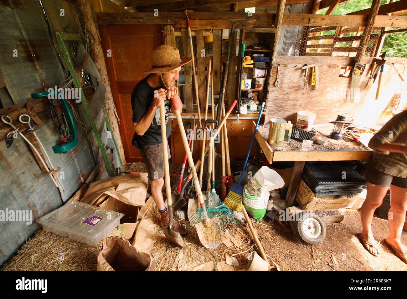 Die Arbeiter verteilen Kalk auf den Feldern der Farm in Circle Acres. Stockfoto