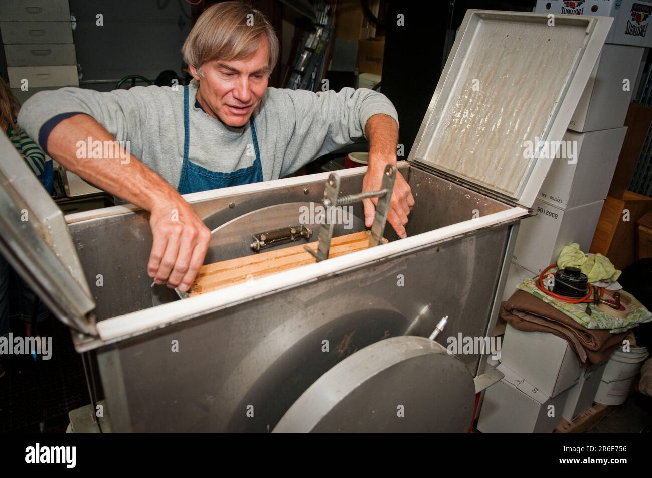 Ein Mead-Maker setzt Honigkamm in eine Zentrifuge zur Extraktion. Stockfoto