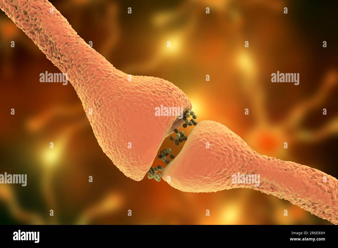 Nervensynapse. Computergrafiken einer Kreuzung oder Synapse zwischen zwei Nervenzellen (Neuronen). Wenn das elektrische Signal das präsynaptische Ende von erreicht Stockfoto