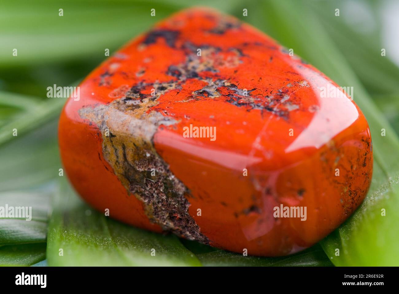 Naturstein-roter Jasper glänzt in wunderschönen Farben auf weißem Hintergrund Stockfoto