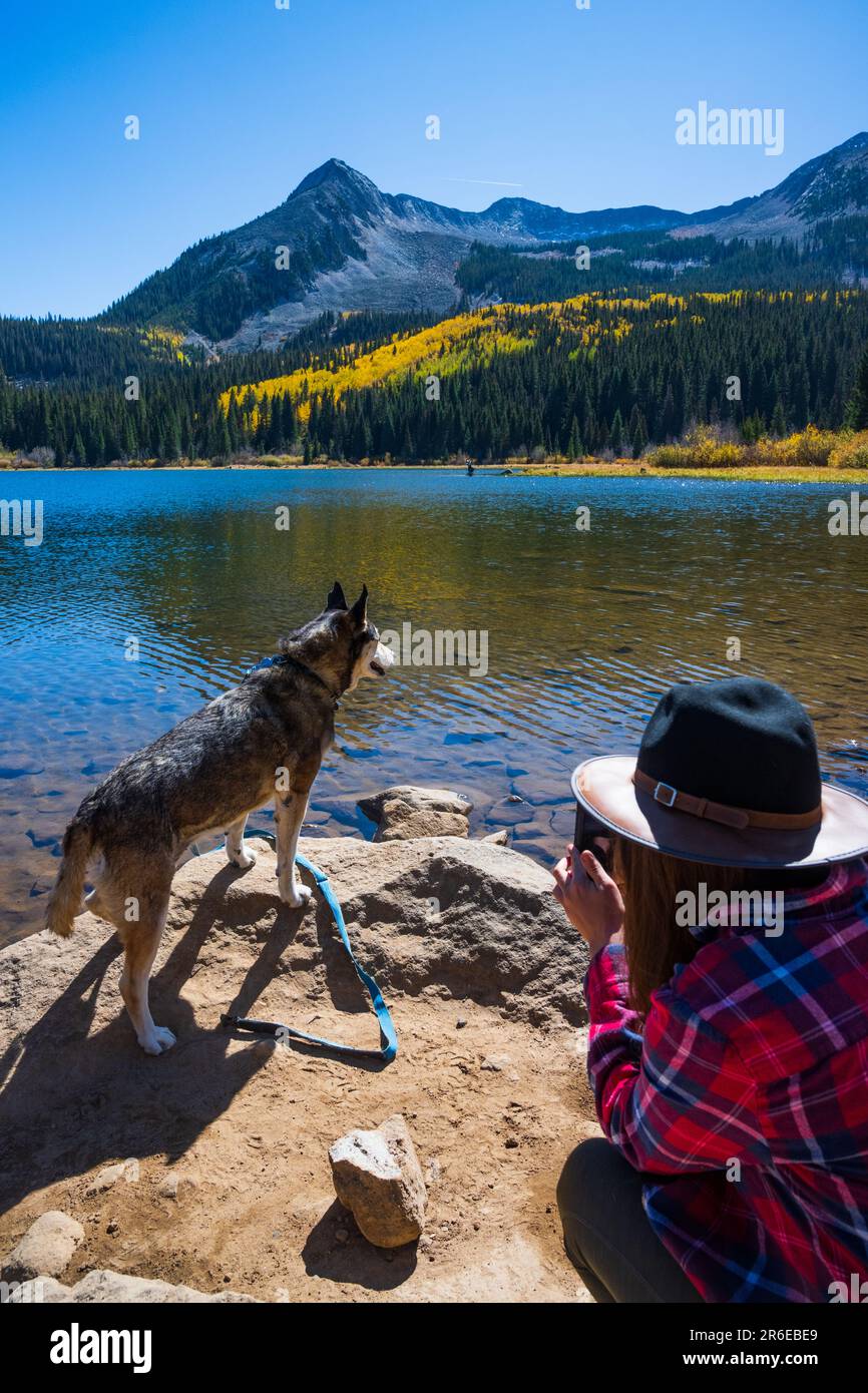 Frau, die im Herbst den Hund in Crested Butte, Colorado, fotografiert Stockfoto