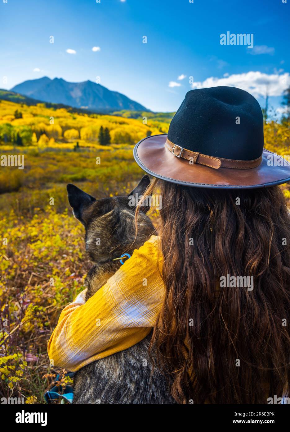 Girl and Dog Leaf auf dem Kebler Pass in Colorado in den Herbstfarben Stockfoto