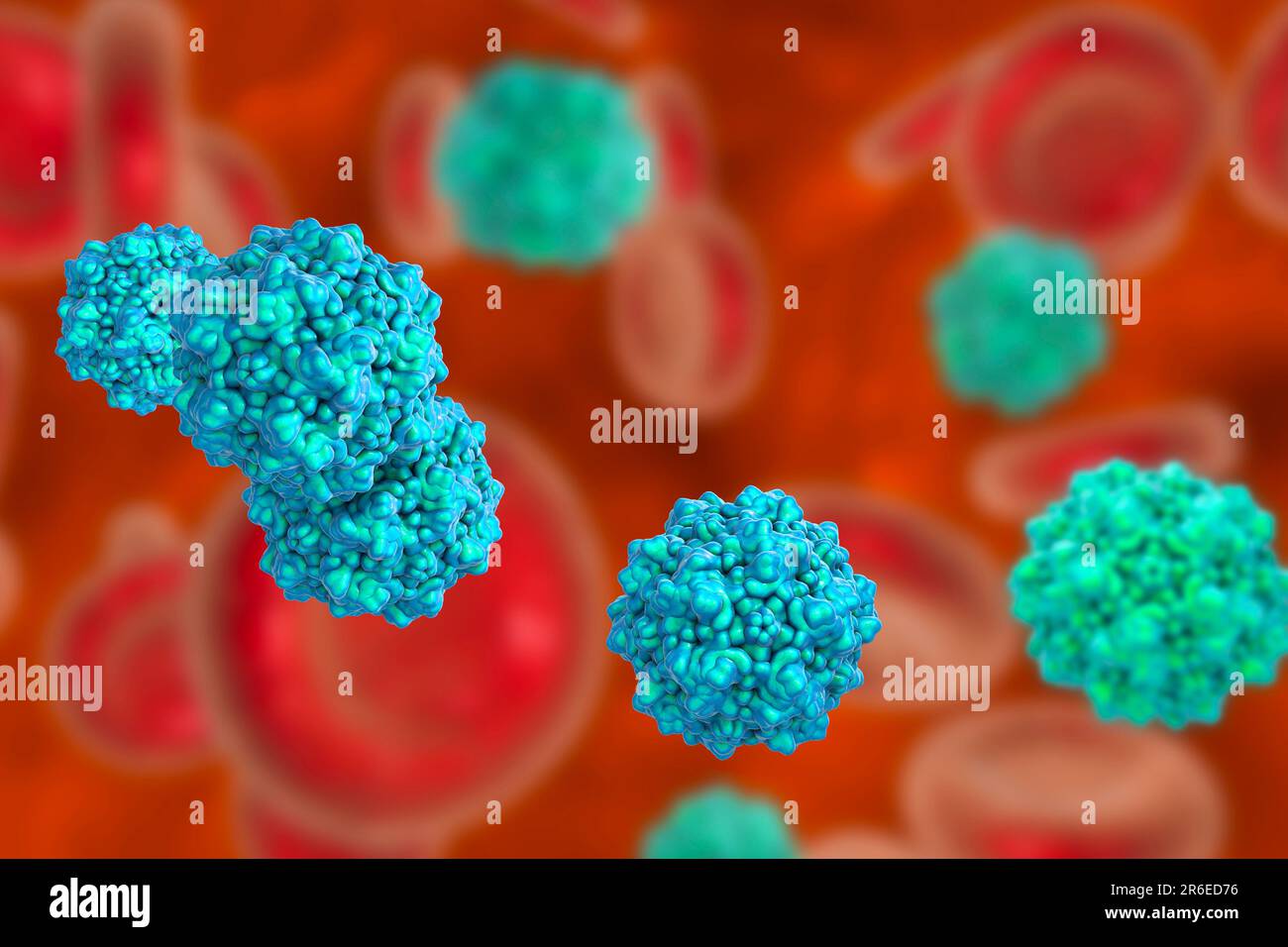 Parvovirus-Partikel, Computerdarstellung. Molekulares Modell zur Darstellung der Struktur des Kapsids (äußere Proteinhülle) eines humanen Parvovirus (Familie Pa Stockfoto