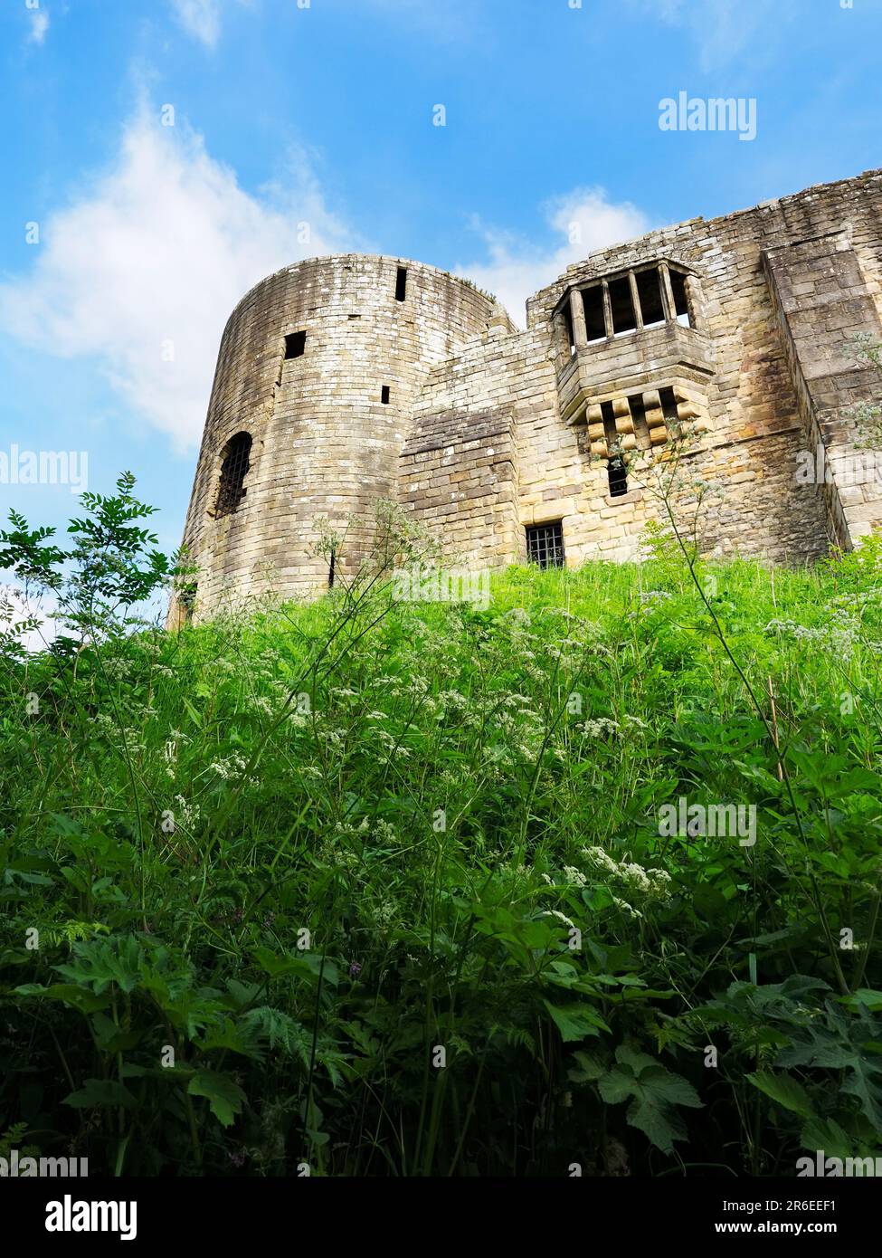 Ruinen der denkmalgeschützten Burg im Barnard Castle County Durham England Stockfoto