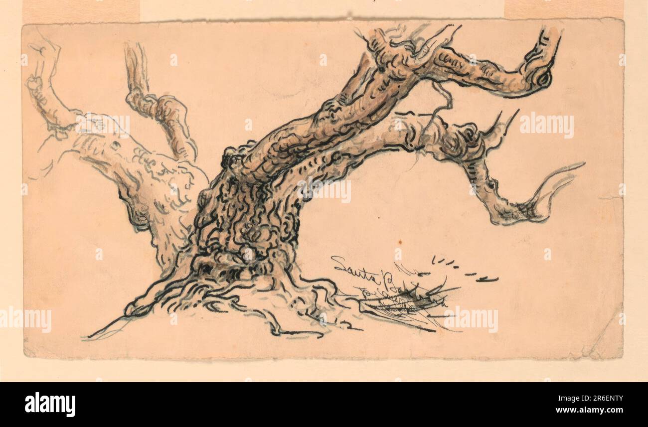 Die unteren Teile von zwei Bäumen, die sich voneinander abwenden, werden dargestellt. „Santa Barbara“ steht in Tinte neben den Wurzeln des Baumes im Vordergrund. Schwarzer Buntstift, Stift und dunkle Tinte, Pinsel und braune Aquarelle auf helles cremefarbenes Papier. Datum: Ca. 1888. Museum: Cooper Hewitt, Smithsonian Design Museum. Stockfoto
