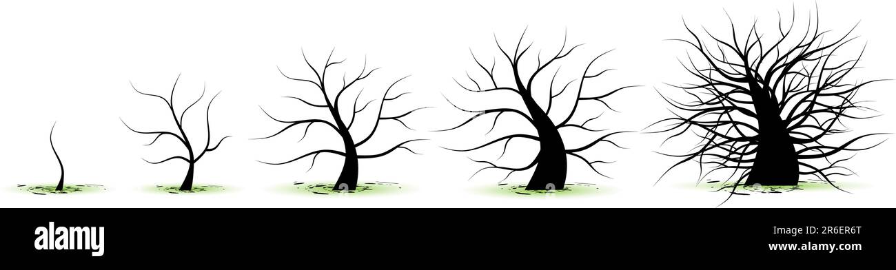 Lebensstadien des Baumes: Kindheit, Adoleszenz, Jugend, Erwachsenenalter, Alter Stock Vektor