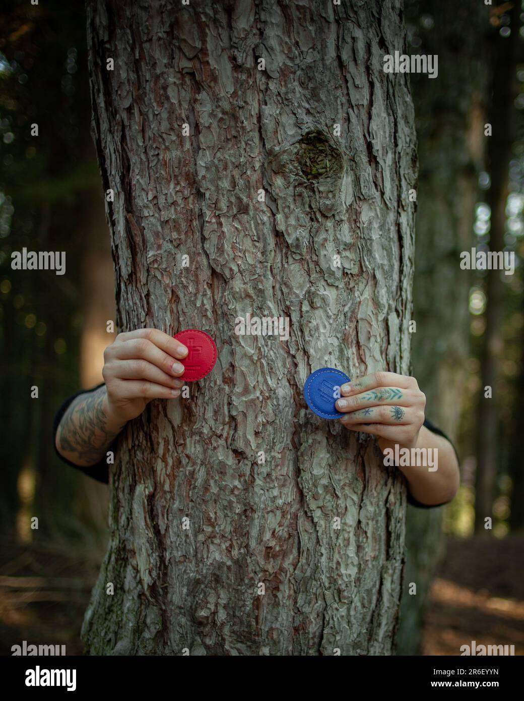 Eine junge Frau, die Biomagnetismus-Magnete an einem Baum im Wald hält. Konzept der Natur- und ganzheitlichen Medizin. Gesund. Stockfoto