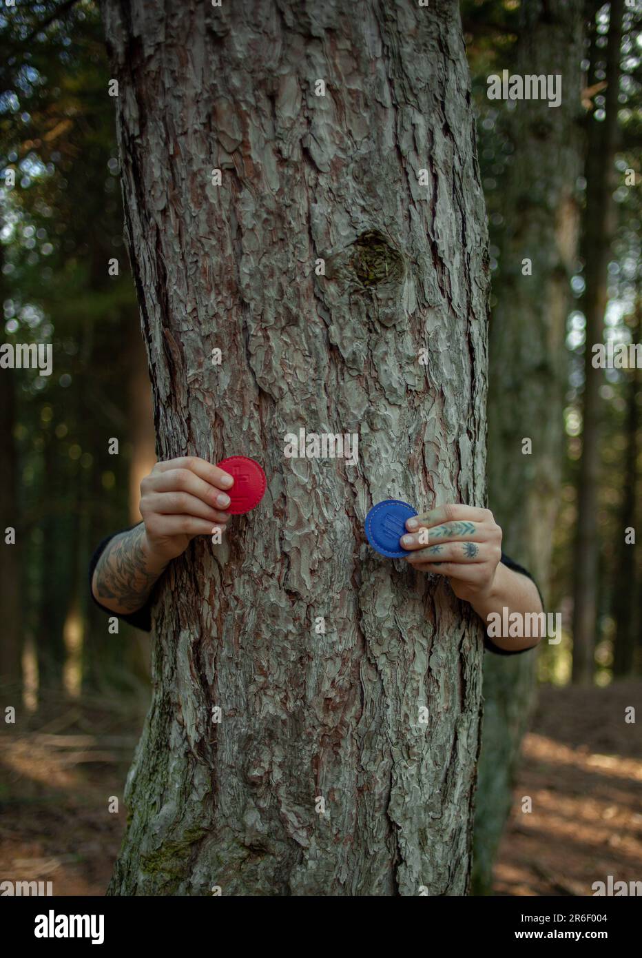 Eine junge Frau, die Biomagnetismus-Magnete an einem Baum im Wald hält. Konzept der Natur- und ganzheitlichen Medizin. Gesund. Stockfoto
