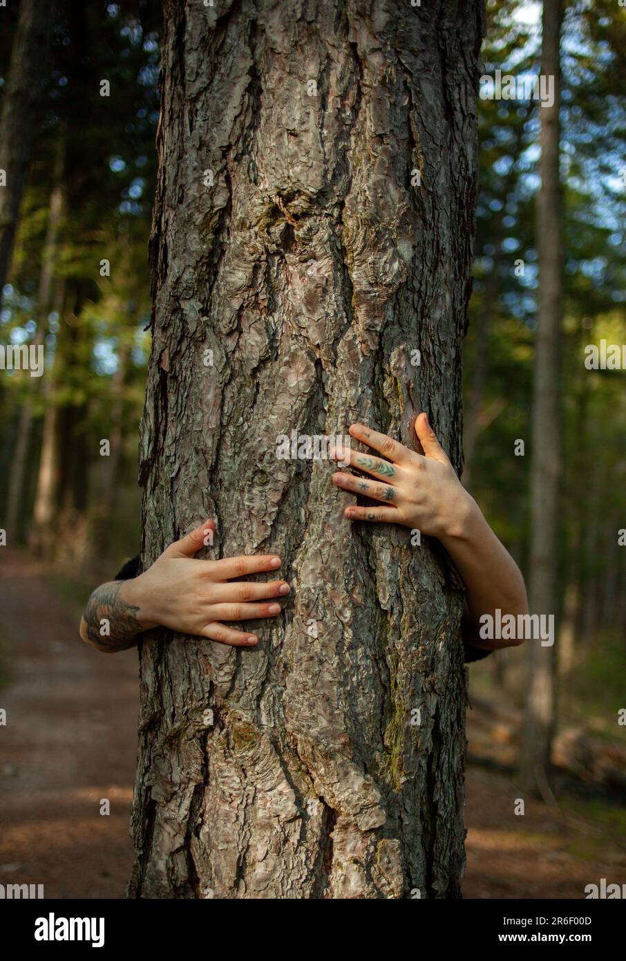 Eine junge Frau umarmt den Baum mit ihren Armen. Konzept der Liebe zur Natur. Liebe zur Erde. Pachamama-Liebe. Stockfoto
