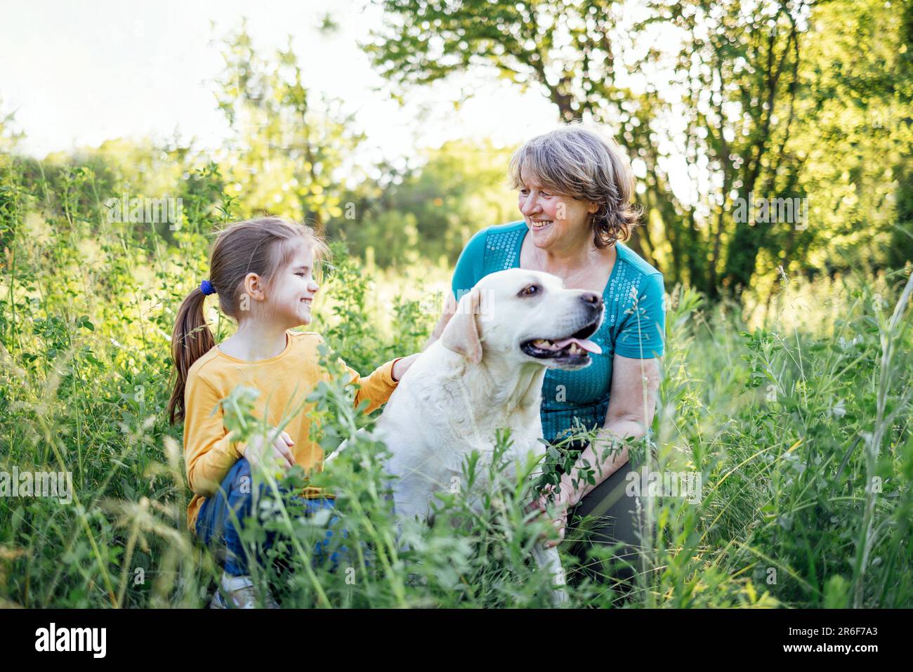 Die grauhaarige Großmutter und die süße kleine Enkelin gehen mit ihren Hunden im Park spazieren. Ältere wunderschöne Frau streichelt goldenes labrador und Stockfoto