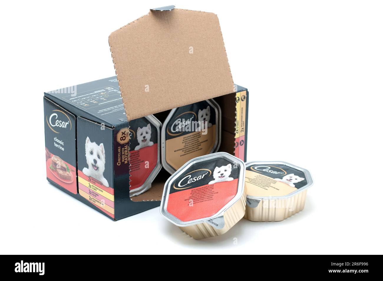 Packung mit 8 Packungen Cesar Classic Terrine Hundefutter mit zartem Hähnchen und Truthahn, saftigem Rindfleisch und Leber, zartem Geflügel, herzhaftem Hähnchen Stockfoto