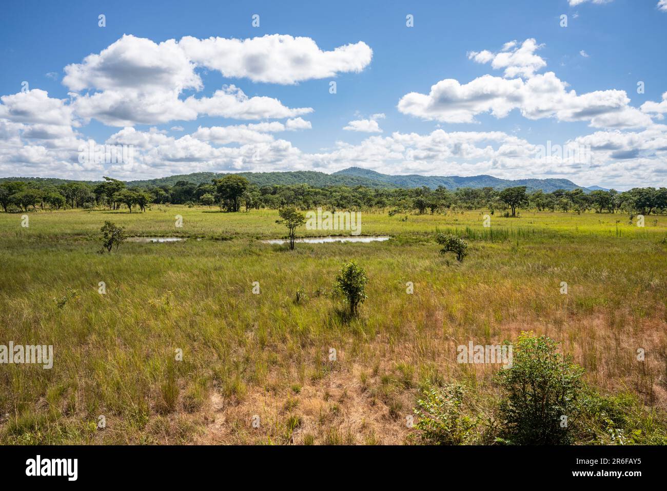 Pool im Naturschutzgebiet Nkhotakota, Malawi Stockfoto