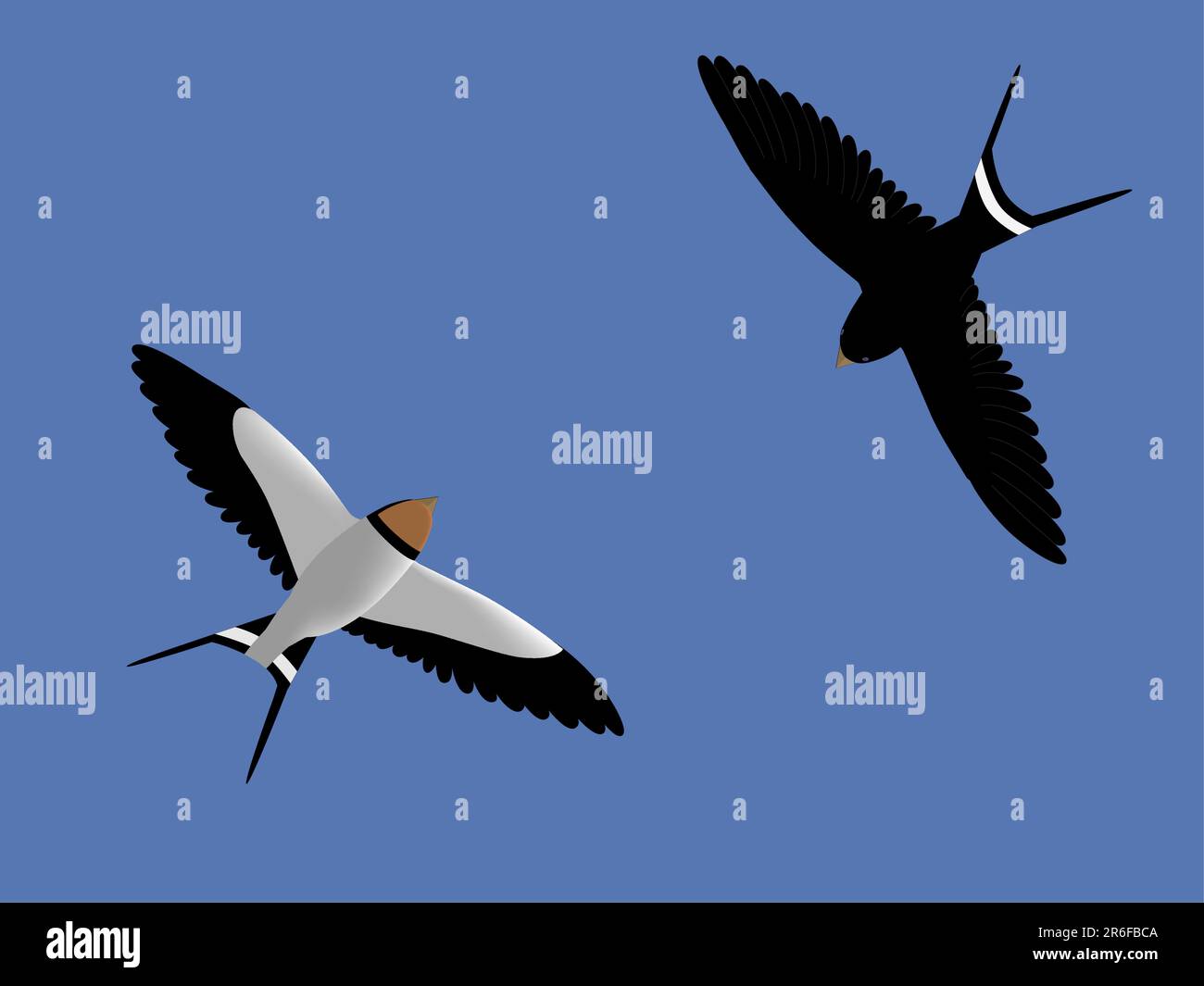 Twoswallows fliegen am Himmel. Vektordarstellung (AI 8 eps-Datei) Stock Vektor