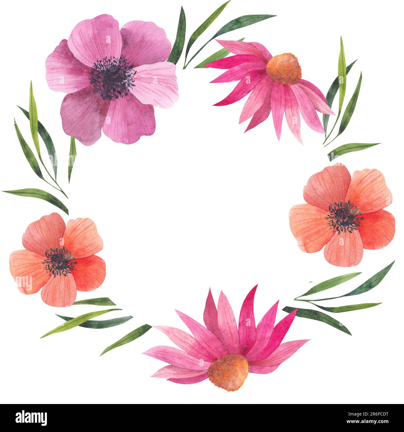Sommer Wildblumenrahmen mit orangefarbenen und roten Anemonen, Echinacea purpurea, Aquarell Illustration. Blumenrahmen mit leerem Platz für Text. Handgezeichnet Stockfoto