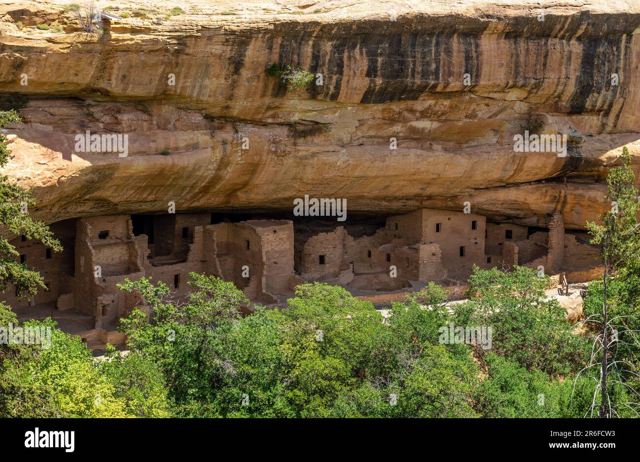Fichte Tree House, Felsenwohnung der Ureinwohner von Pueblo Anasazi, Mesa Verde-Nationalpark, Colorado, USA. Stockfoto