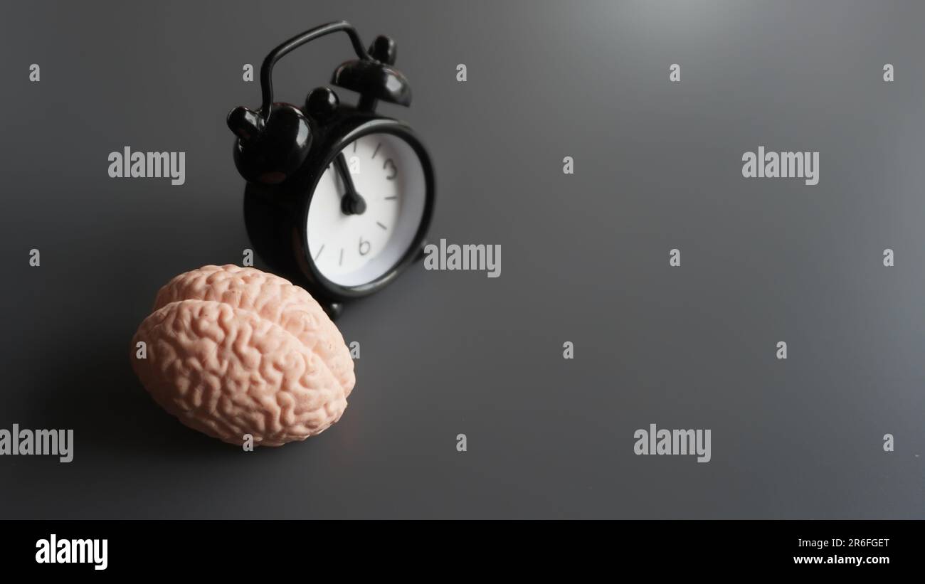 Gehirn und Wecker mit Kopierraum. Zirkadiane Uhren oder biologisches Uhrkonzept Stockfoto