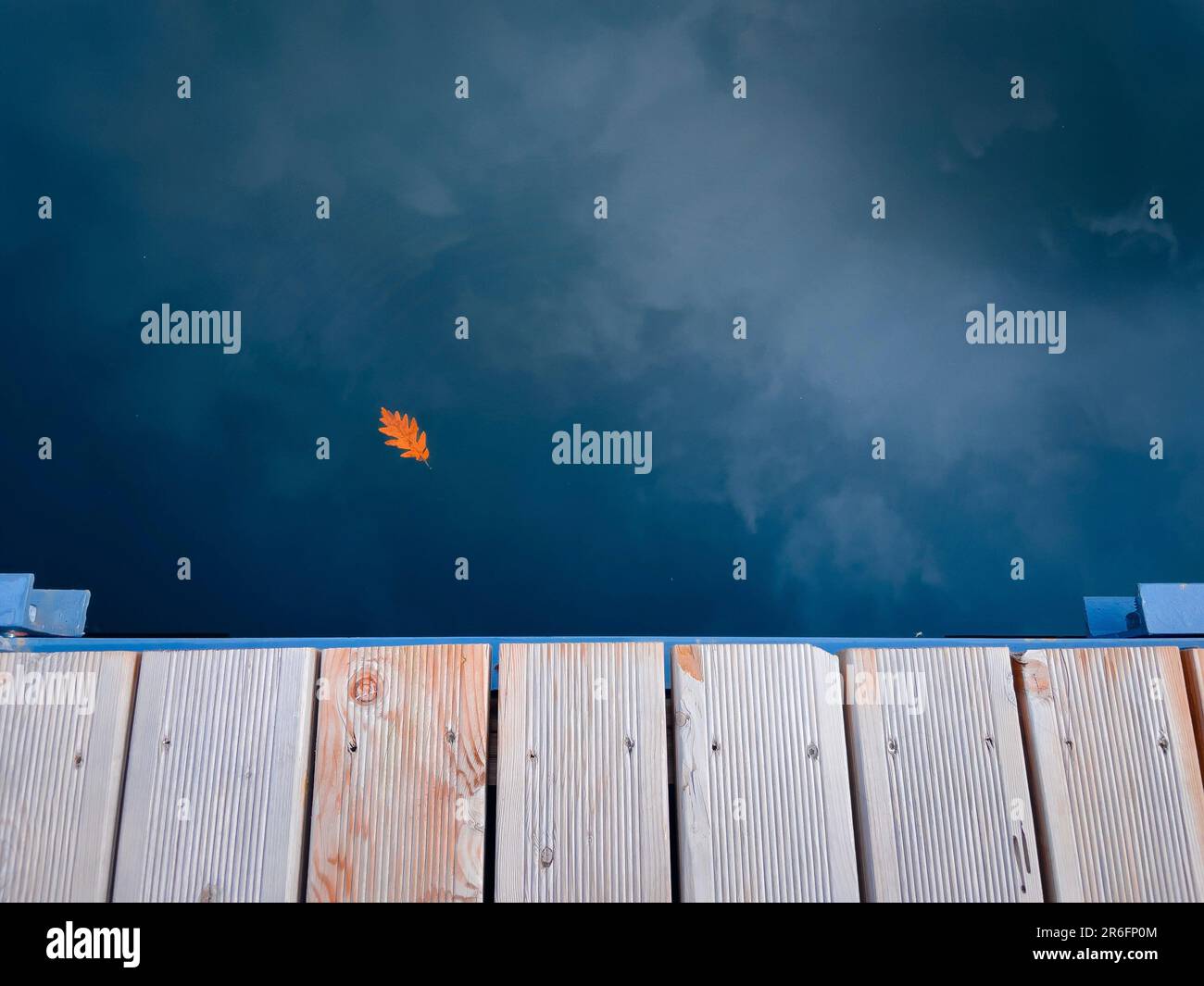 Ein leuchtendes orangefarbenes Blatt, das sanft im stillen Wasser an einem Dock in der Nähe eines Sandstrands schwimmt und eine ruhige und friedliche Atmosphäre schafft Stockfoto