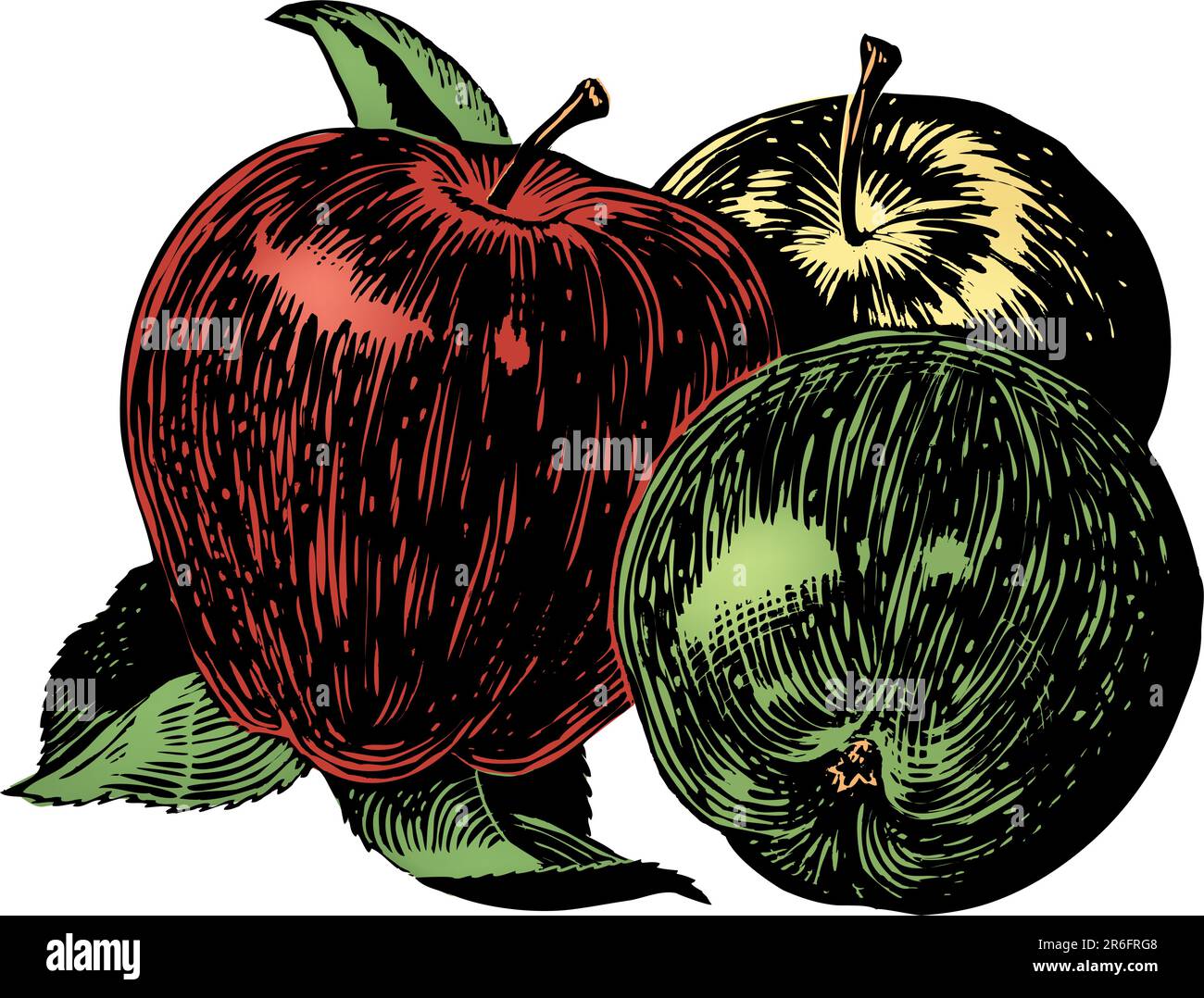 Apfel im Vintage 1950er-Ätzstil. Detailgetreue Schwarzweiß-Aufnahmen aus authentischen handgezeichneten Rubbelbrettern mit vollständiger Farbgebung. Stock Vektor