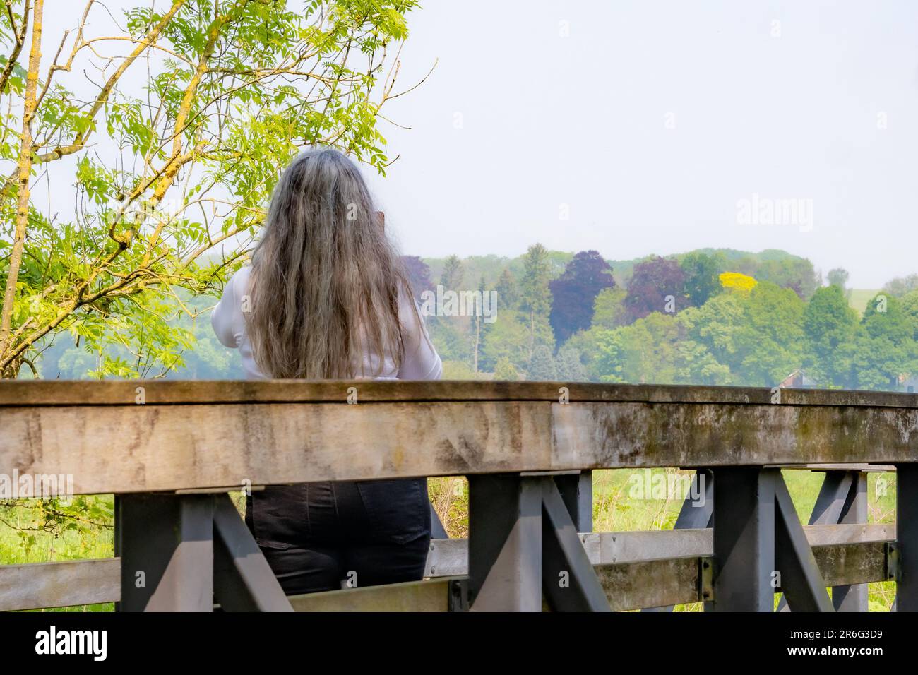 Reife Frau mit langen, grauen Haaren, die mit dem Rücken zur Kamera auf einer Holzbrücke steht, Bäume mit nebligen Hintergrund, weiße Bluse, sonniger Frühlingstag in Nat Stockfoto