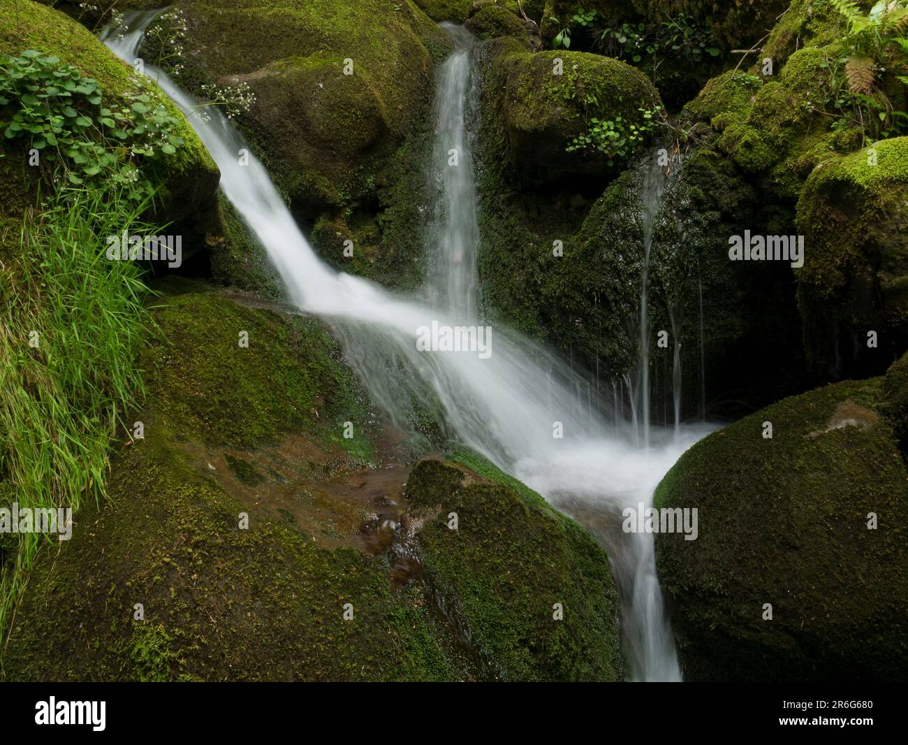 Ason River, Collados del Ason, Kantabrien, Spanien Stockfoto