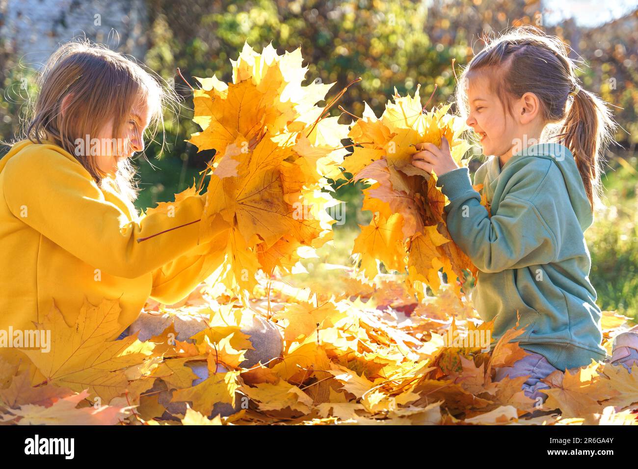 Mädchen, die auf Trampolin mit Herbstblättern springen. Leuchtend gelbes Ahornblatt. Kinder laufen, haben Spaß im Herbstgarten. Draußen Stockfoto
