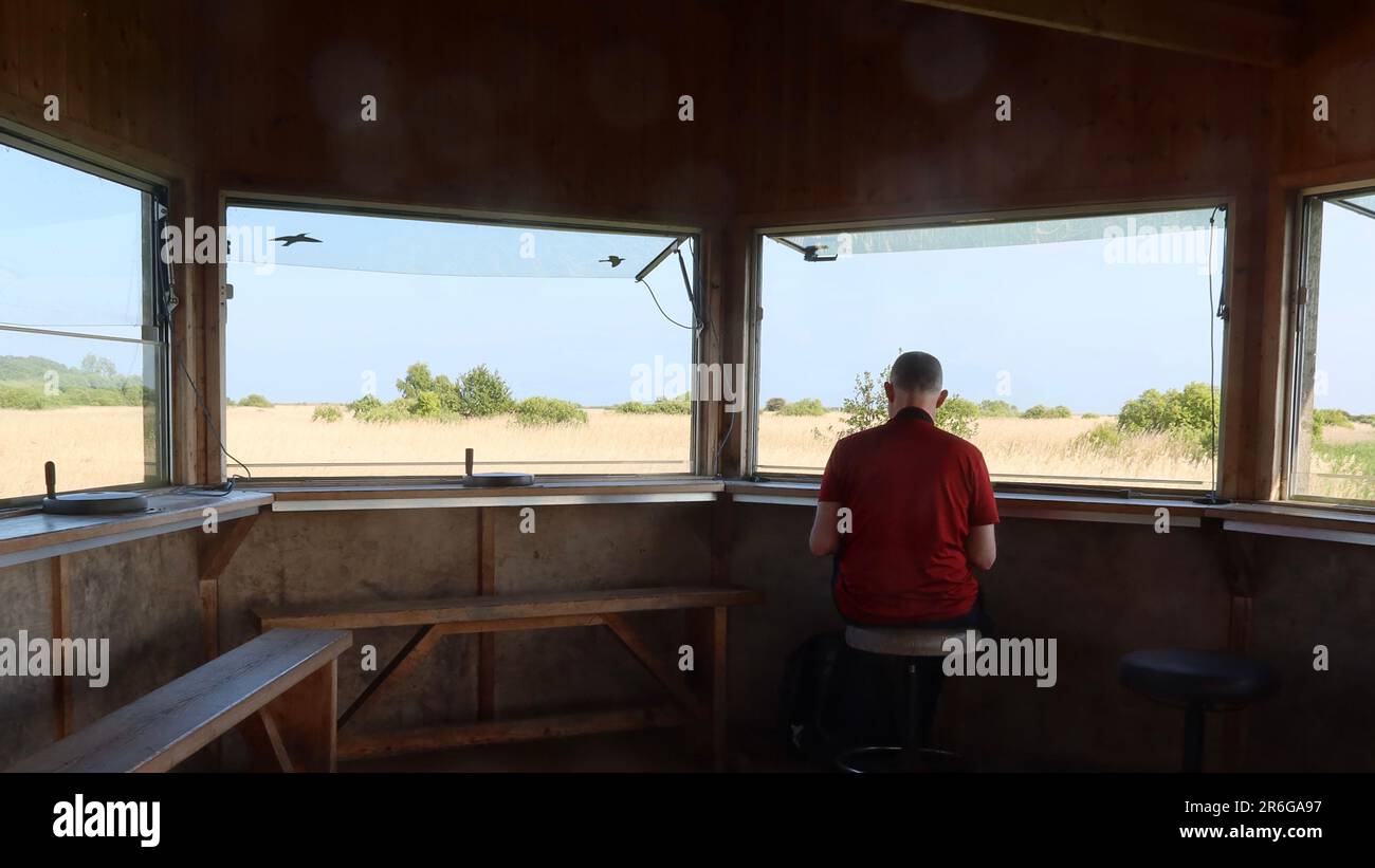 Saxmundham, Suffolk - 9. Juni 2023 : Naturschutzgebiet Minsmere unter Bedrohung durch den Bau von Sizewell C. Ein Mann auf der Insel versteckt sich nur mit Blick auf die Aussicht. Stockfoto